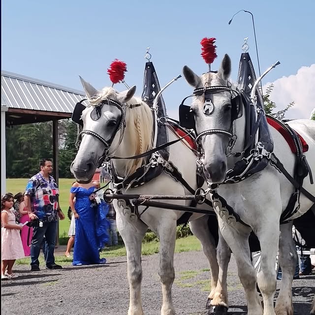 Wedding ceremony details