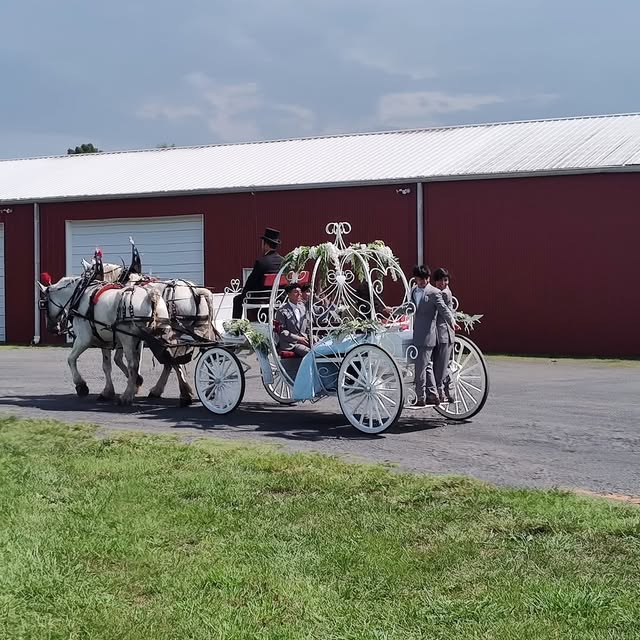 Wedding reception decor