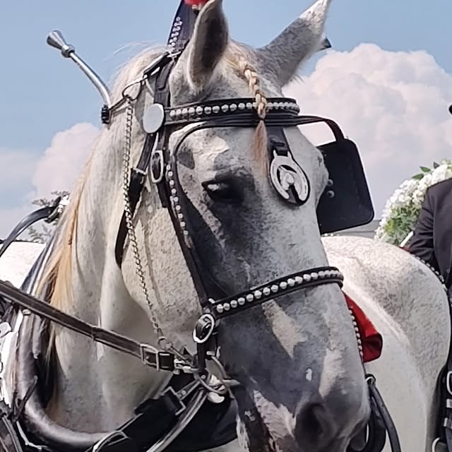 Wedding venue details